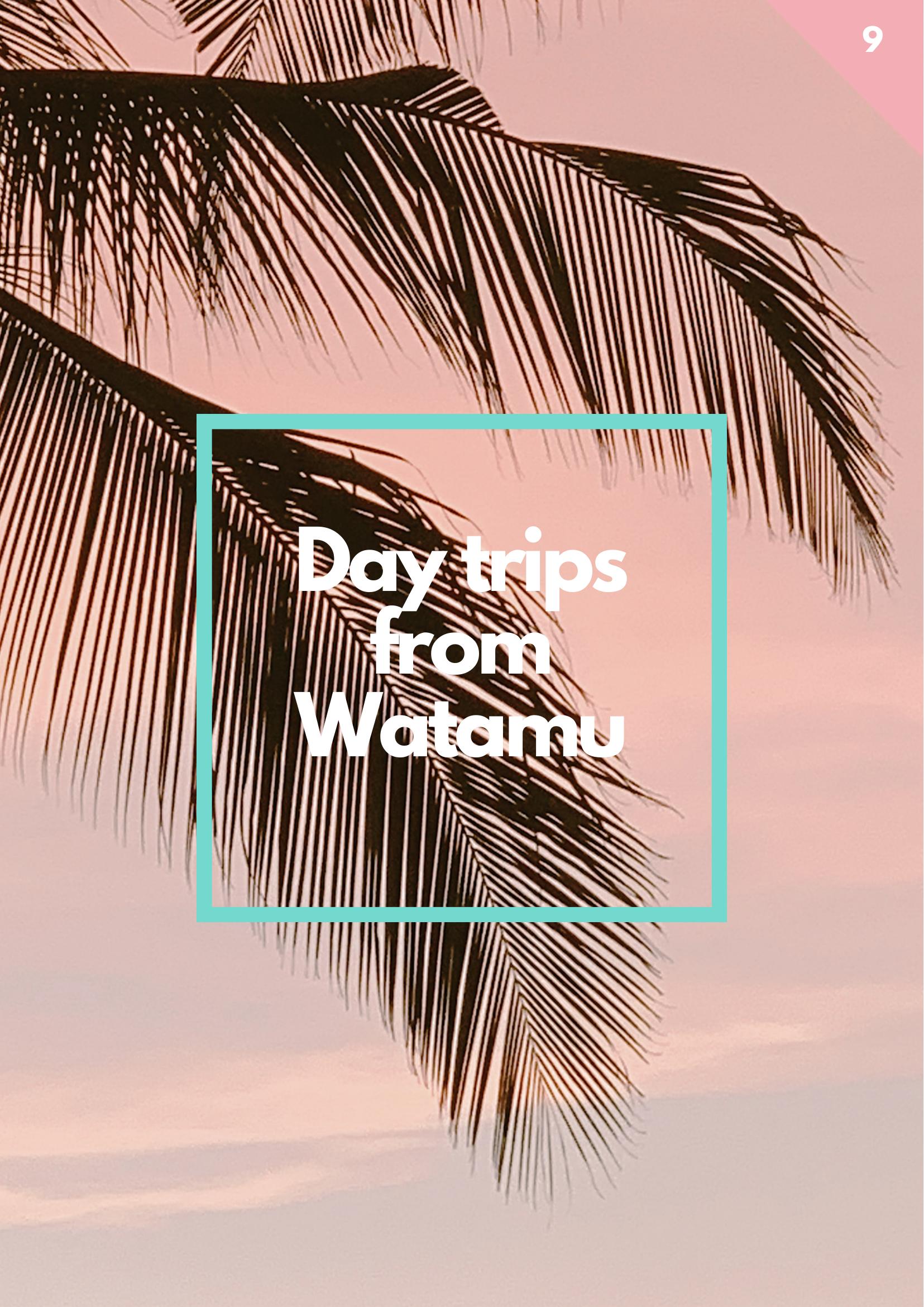 Watamu Kenya Ultimate Travel Guide (Instant Download)