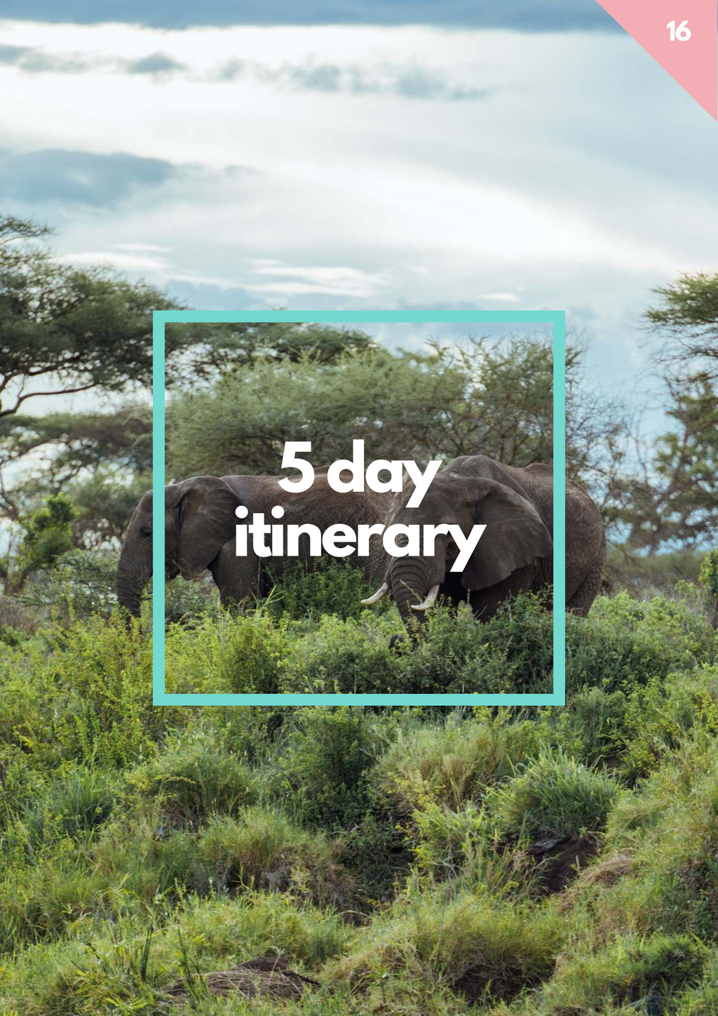 Watamu Kenya Ultimate Travel Guide (Instant Download)