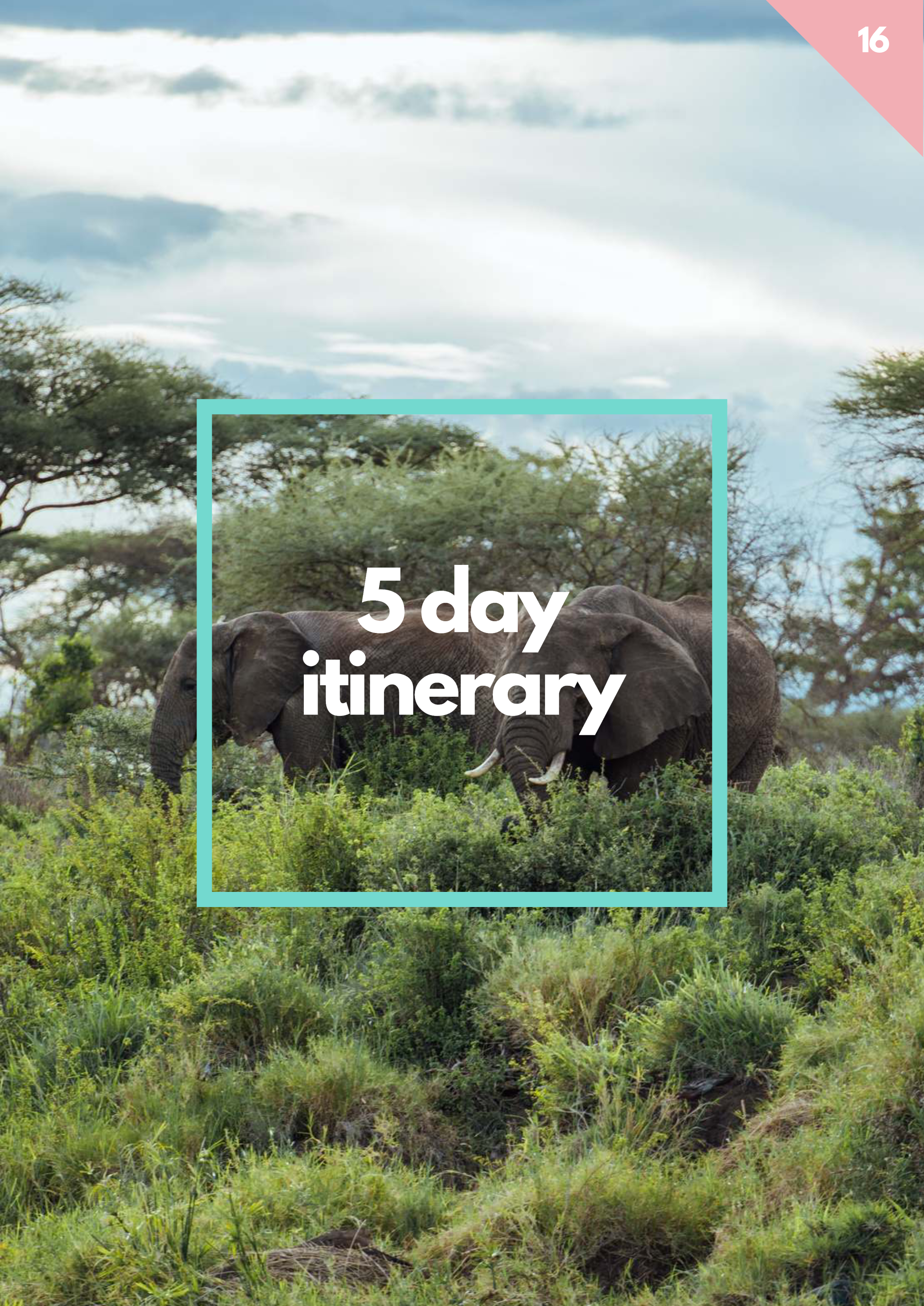 Watamu Kenya Ultimate Travel Guide (Instant Download)